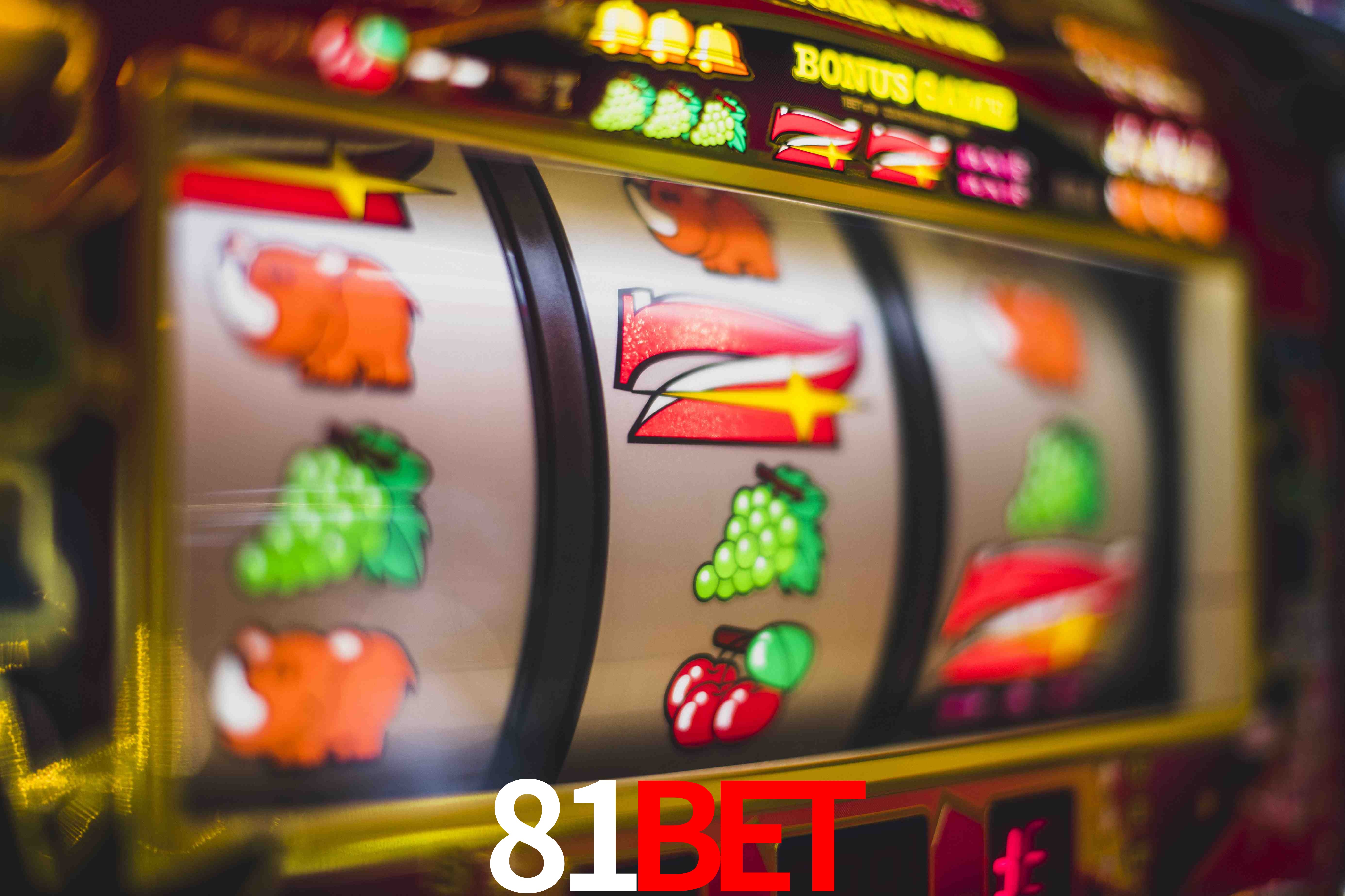 Experiência VIP 81Bet